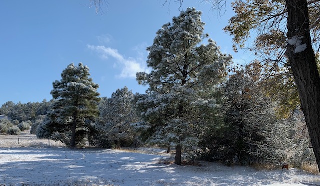 Sun on Snow - Fall 2019